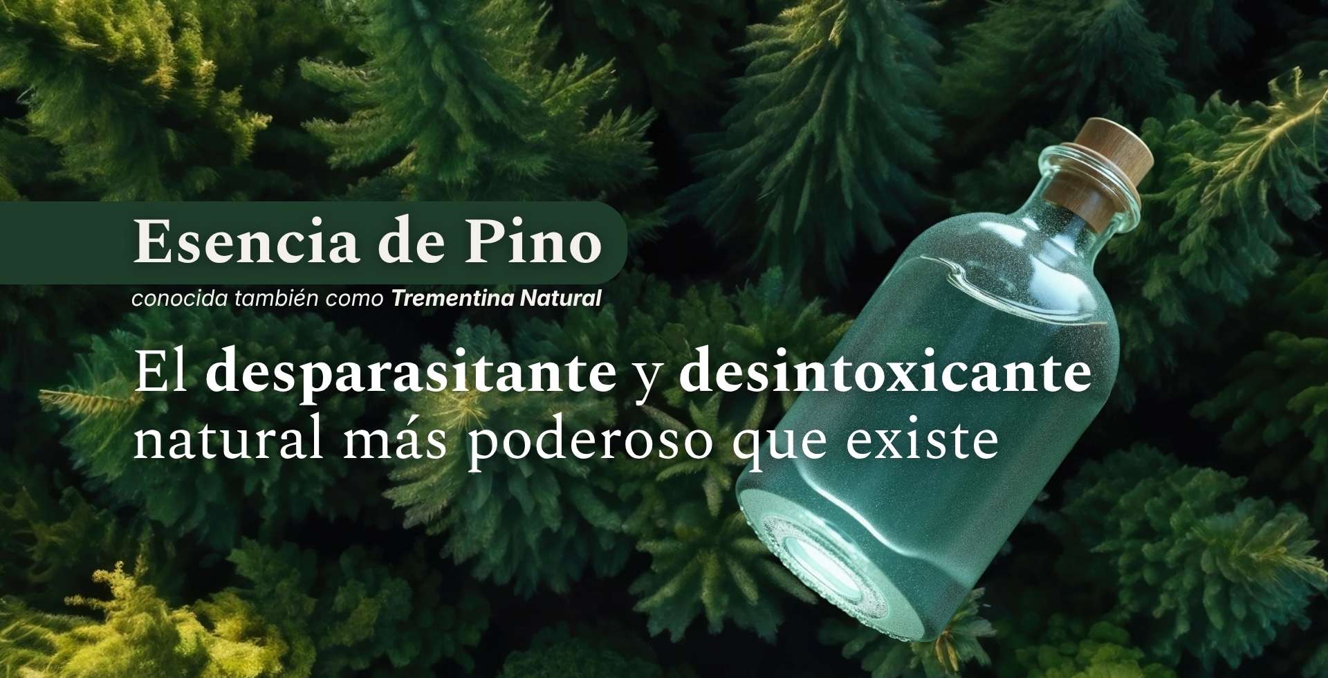 Descubre_el_tesoro_del_bosque_-_trementina_natural_de_alta_frecuencia USA/Mex