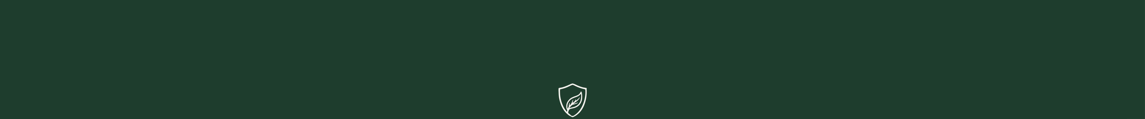 Esencia_de_pino_Trementina_Natural_Antioxidante