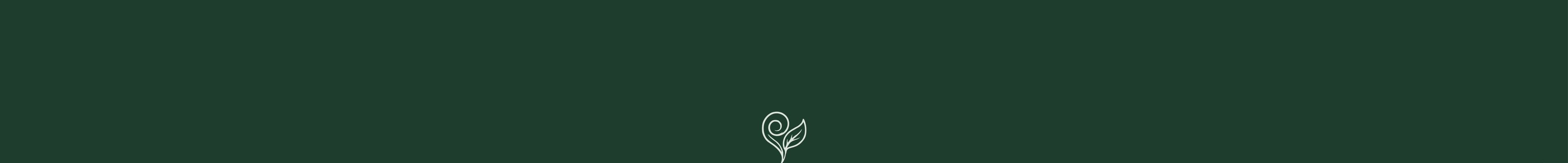 Esencia_de_pino_Trementina_Natural_Eliminacion