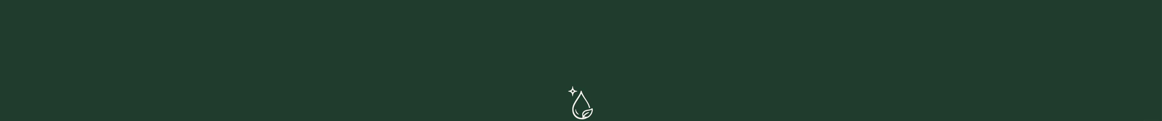 Esencia_de_pino_Trementina_Natural_Purifica_toxinas
