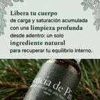 Libera_tu_cuerpo_de_carga_y_saturacion_acumulada_con_la_esencia_de_pino_trementina_natural