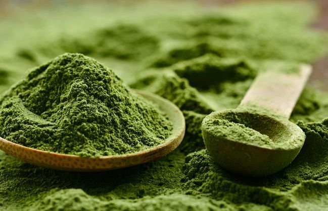 Chlorella del Bosque Tesoro No.02