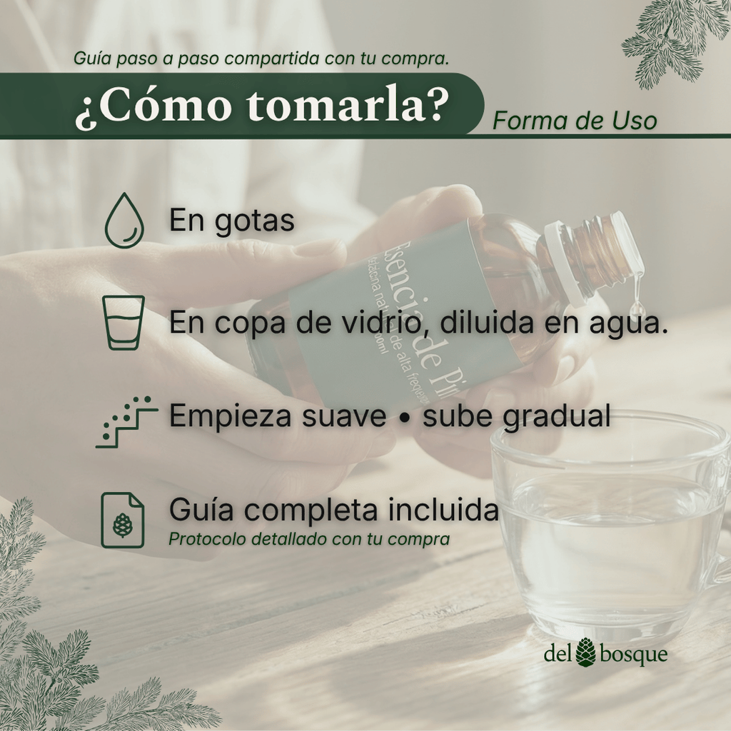 como-tomar-esencia-de-pino-gotas-copa-vidrio-del-bosque