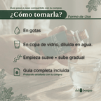 como-tomar-esencia-de-pino-gotas-copa-vidrio-del-bosque
