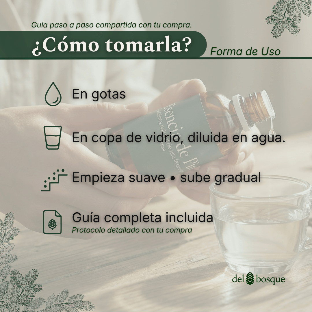 como-tomar-esencia-de-pino-gotas-copa-vidrio-del-bosque