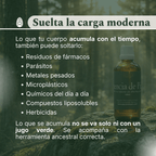 depuracion-carga-moderna-esencia-de-pino-metales-microplasticos-del-bosque