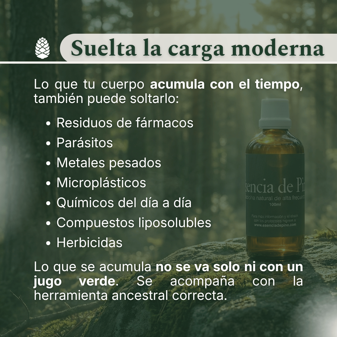 depuracion-carga-moderna-esencia-de-pino-metales-microplasticos-del-bosque